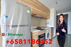 The Poiz Residences (D13), Apartment #192539382